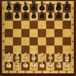 Satranç Usta Kralı