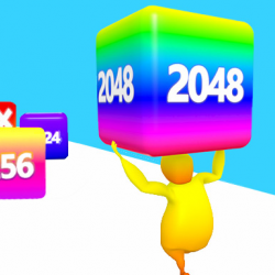 Birleştirme Koşusu 2048