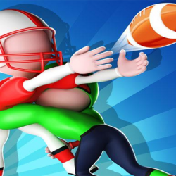 Çılgın Touchdown 3D