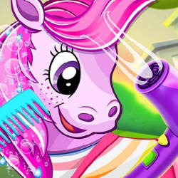 Pony'lerin Evcil Salonu