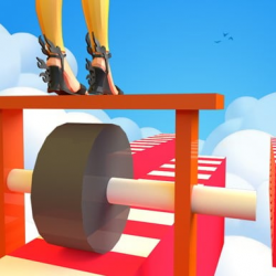 Tek Tekerlekli Koşu