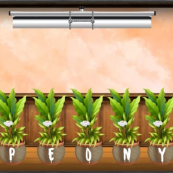 Amgel Çocuk Odası Kaçışı 89