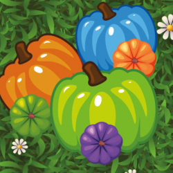 Renkli Kabak eşleştirme