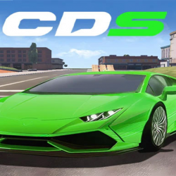 Yarış Araba Çift Kontrol