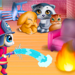 Kedi Şehri Kahramanları