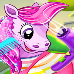 Evcil Pony Kuaförü