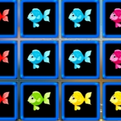 1010 Balık Blokları