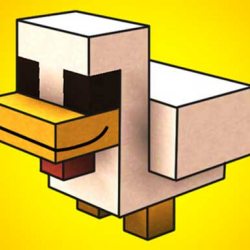 Noob Tavuk Çiftliği Taciri