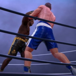 Ultimate Boxing - Boks Kralı