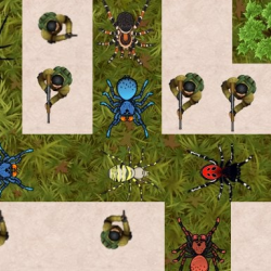 Örümcek Savunması