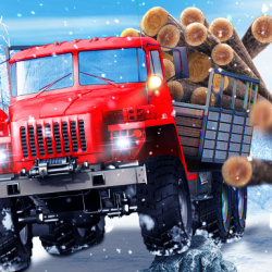 Kamyon Şoförü Karlı Yollar