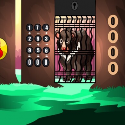 Yaşlı Ayıyı Kurtar