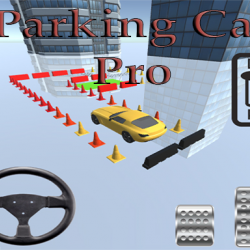 Park Car Pro