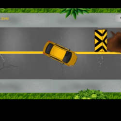 Kaza Sokak Yarışı