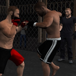 Şampiyon MMA