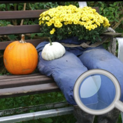 Sonbahar Bahçesi - 100 Kelebek Bul