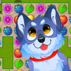 Bahçe Eşleştirme Mücadelesi