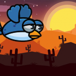 Denklem Kuşu Dönüş