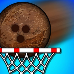 Süper Hindistan Cevizi Basketbolu