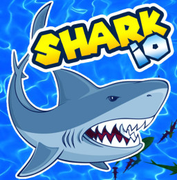 Köpekbalığı Dünyası